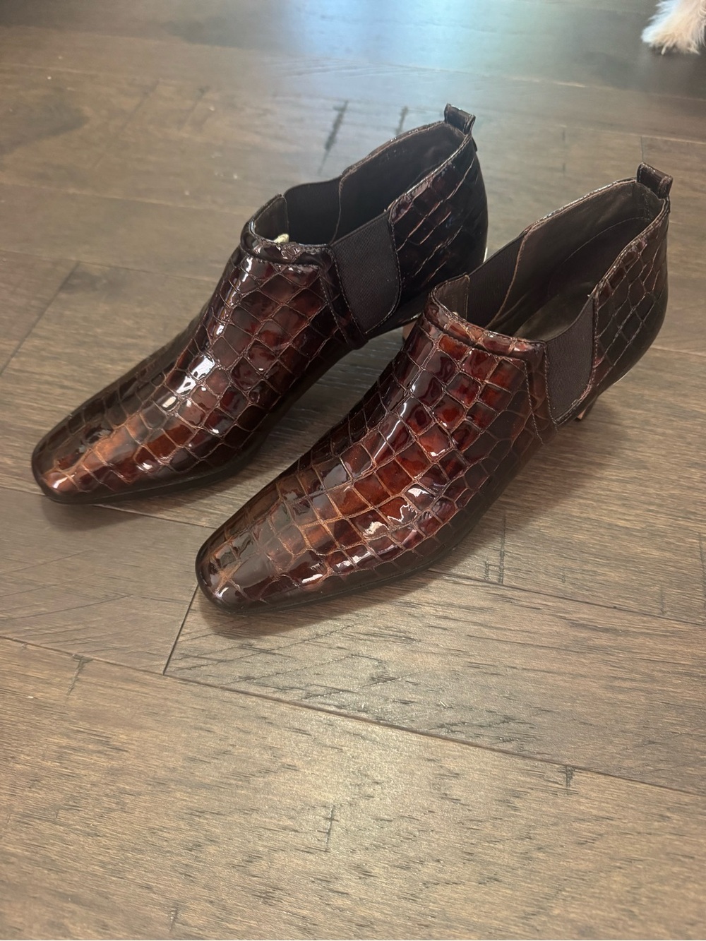 Women’s Brighton Croc-Embossed Brown Ankle Boots